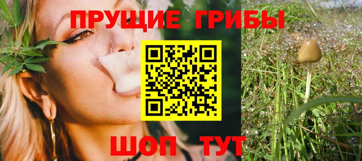 Галлюциногенные грибы мухоморы  Вход с VPN  Псилоцибиновые грибы MAGIC MUSHROOMS  Ульяновск 